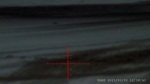 PARD_20250101_121711