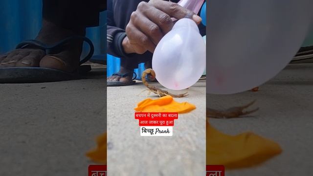 Scorpion Balloon Prank #prank #balloon #scorpion #childhood