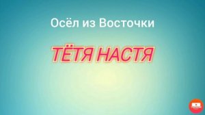 Тётя Настя. Серия "Отморозок из Восточки. В продолжение диалога в конце  Серии N62.,,"из архива