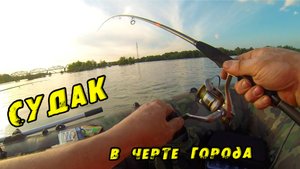 СУДАК на Джиг с лодки в черте Города. ПЕРВЫЙ выезд лета 2023. Ловля судака на реке Обь.