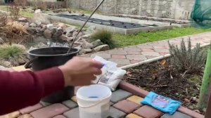 КАК ПРИГОТОВИТЬ БОРДОССКУЮ ЖИДКОСТЬ?