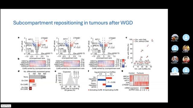 JCS 11. Whole genome doubling