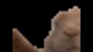 Шни Шна Шнапи & Счастливы Вместе