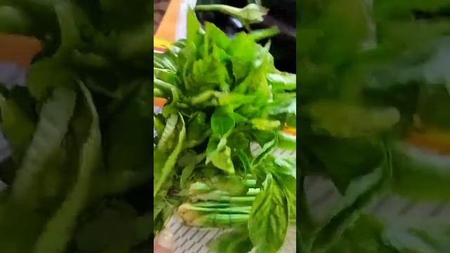 №2 обзор покупок с ценам! Алматы. утренний рынок на Зенкова ( Пролетарской).