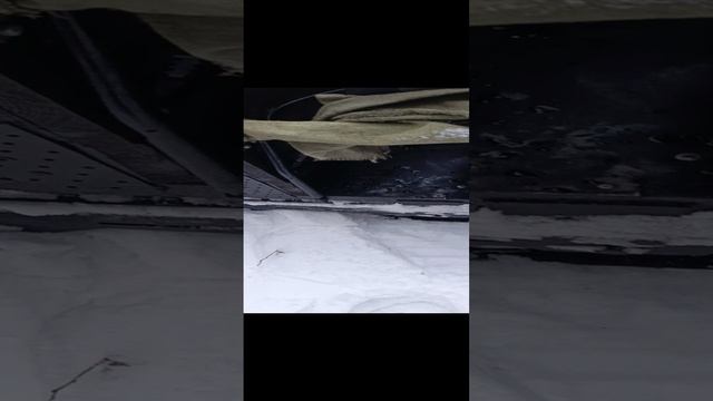 1000007202.mp4
