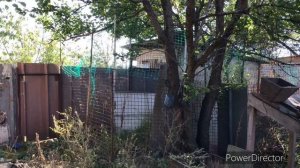 Дружковка//Дружковка сегодня//Беспорядок на доме//Берём все необходимое.