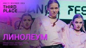 RDF24 ✱ ЛИНОЛЕУМ, 3RD PLACE ✱ PROJECT818 INTERNATIONAL DANCE FESTIVAL 2024 ✱ ADULTS BEGINNER CREW