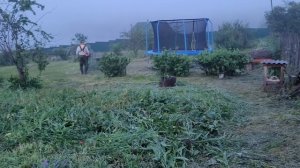 Приехали на заимку | Все тайное становится явным | Обзор ягодного поля