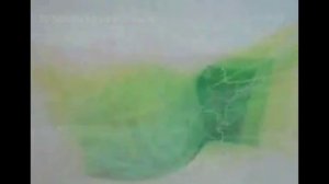 DJ Segen(Илья Киселев) Душа поёт