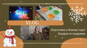 VLOG Подготовка к Новому году!🎅 Подарок от подружки🎁