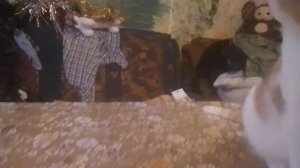 ПРОСТО НОВОГОДНЕЕ ВИДЕО