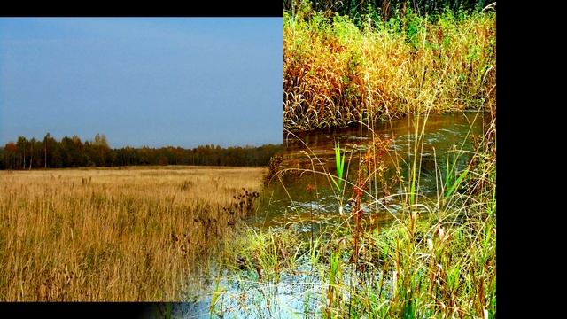 Осенний Романс смотреть онлайн