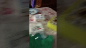 новогодние дни