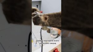 Горение селитрованной бумаги