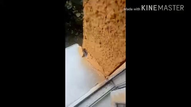 Поймали за беганье по крыше смотреть онлайн