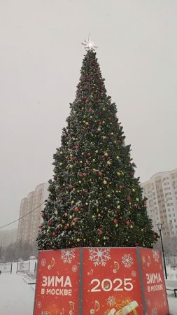 31.12.24 Москва Южное Бутово