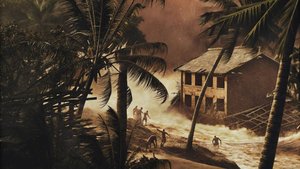 Катастрофическое цунами в Индийском океане. 20 лет спустя.