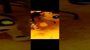 1000013036.mp4
