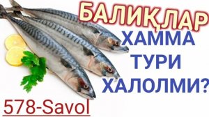 578-Савол: Балиқлар хамма тури халолми? (Шайх Абдуллоҳ Зуфар Ҳафизаҳуллоҳ)