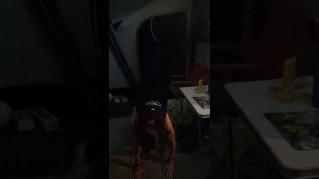 Holiday workout with resistance bands #holidayfit #resistancebands смотреть онлайн