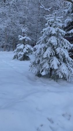 31 декабря 2024