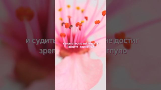 Твой Знак Свыше. Волшебное Послание