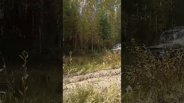 отдыхаем