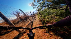 трейд Забор (Лучистое/Алушта) / 01.01.25