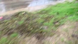 Видео как машины ездят по большим лужам на дороге.