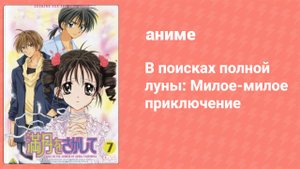 В поисках полной луны: Милое-милое приключение спецвыпуск (аниме-сериал, 2002)