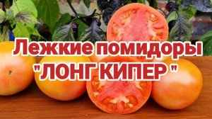 Лежкий Лонг Кипер