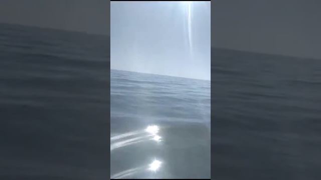 Бархатный сезон в Евпатории.✌️🤘👋 смотреть онлайн