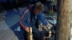 Попросил сфотографировать