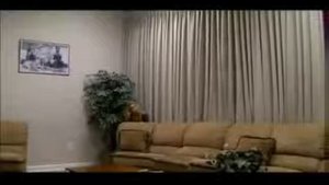 напугала пауком