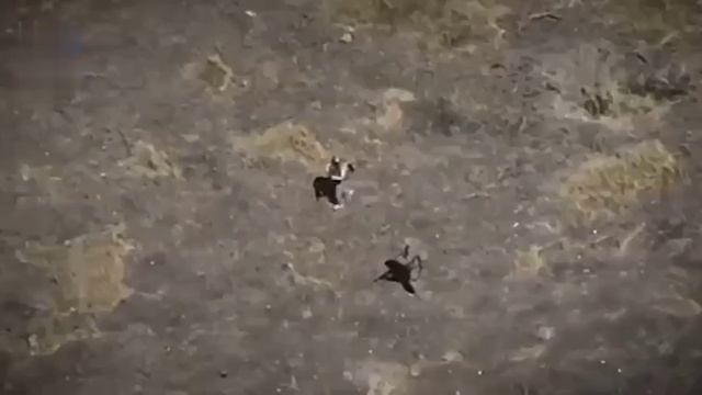 Еще одна трудная победа смотреть онлайн