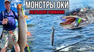 Подобрали КЛЮЧ к ТОЛСТЫМ ЩУКАМ | Продолжаем осваивать GARMIN PANOPTIX | ТРОФЕЙНАЯ РЫБАЛКА НА ОКЕ