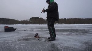 Можайское водохранилище. Ехали на первый лёд, а попали в глухозимье)) Ловля окуня на балансиры.