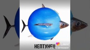 Смешные названия животных 😂🐵🐱