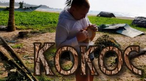 Как сорвать и открыть кокос