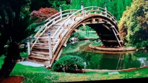 Сергей Мерц - чтец: Эмили Грант / стихи для души