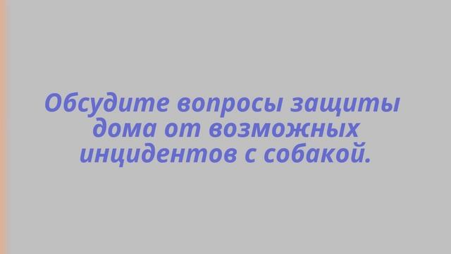 Как убедить родителей завести собаку смотреть онлайн