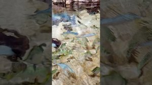 Москвариум на ВДНХ