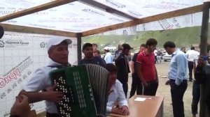 бадрудин поет цези