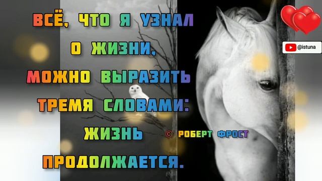 ЗОЛОТЫЕ СЛОВА - Источник Мудрости.Соль Жизни.