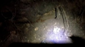 ЛУЧШИЙ ФУНДАМЕНТ ЗА ВСЮ МОЮ ИСТОРИЮ КОПА!!!БОГАТЕЙШИЙ ДОМ!!ШУРФ С Garrett Apex