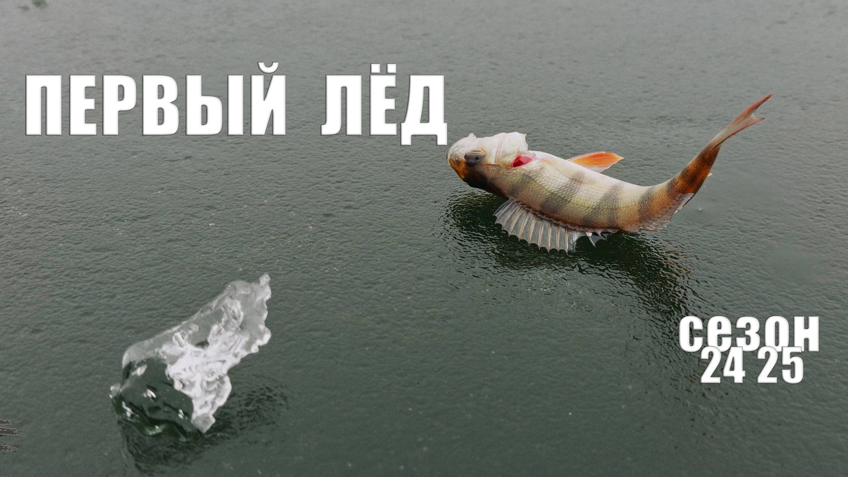ПЕРВЫЙ ЛЁД // РЫБОЛОВНЫЙ СЕЗОН 24 25