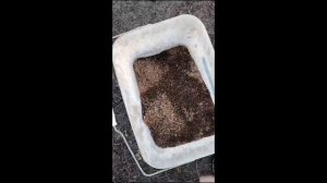 Бывает и такое!!! Извините за лексику)))