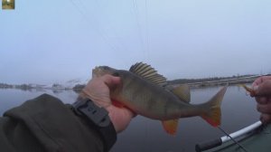Закрыл летний сезон.Рыбалка на безмотылку.