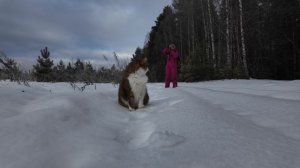 Большой выпуск. Гуляем в заповедной зоне.🐯