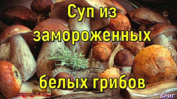 Суп из замороженных белых грибов
